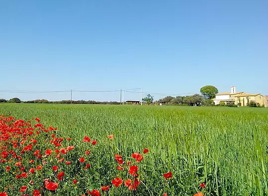 Turisme experiencial: viatjar per connectar amb la història i l’entorn