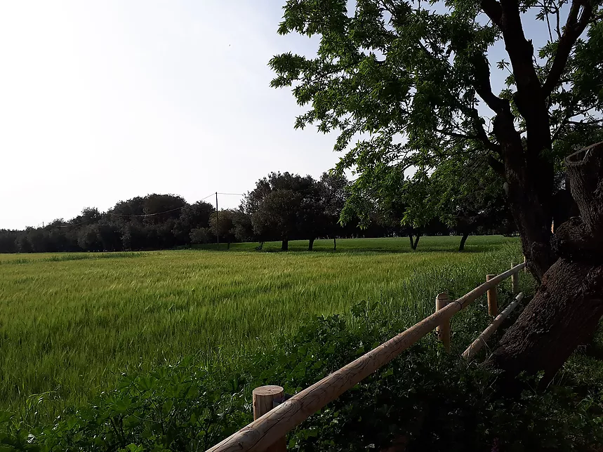  Outdoor common areas