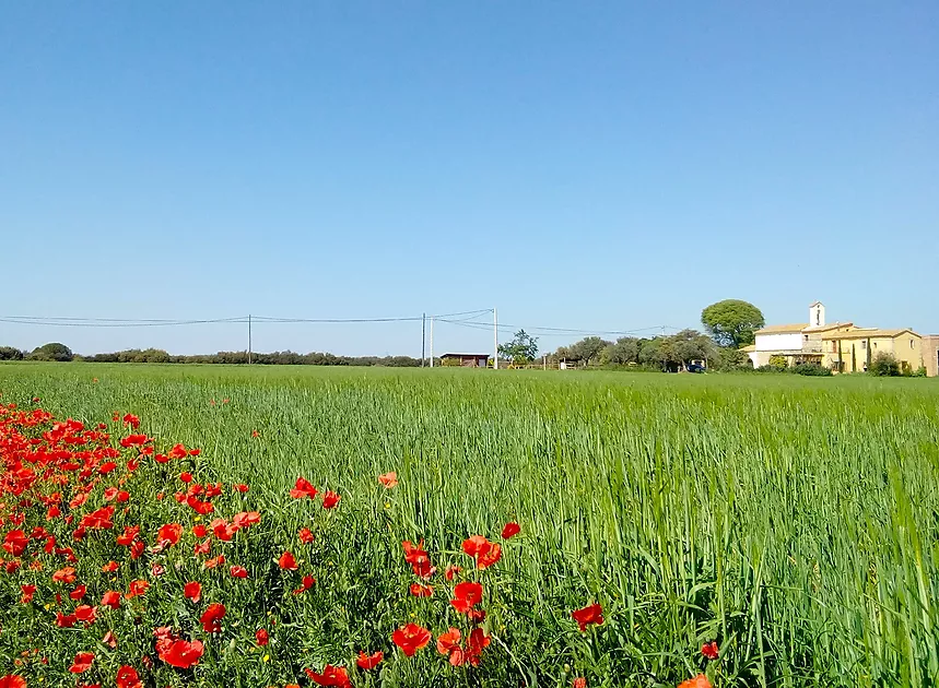  Outdoor common areas