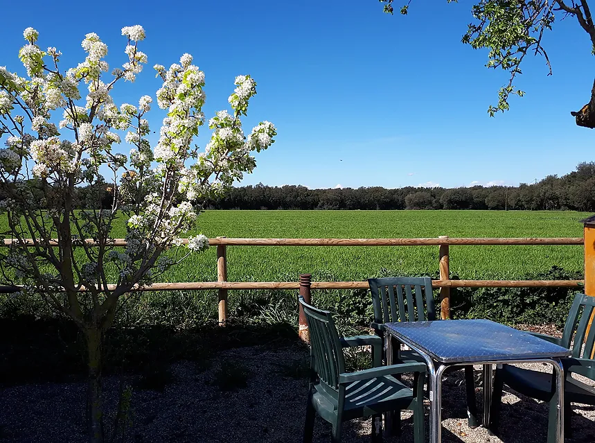  Outdoor common areas